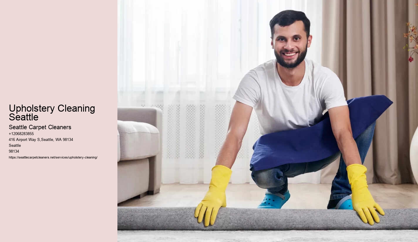 Upholstery Cleaning Seattle